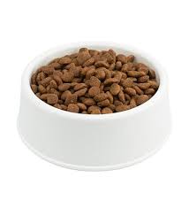 Uygun Fiyatlı Hediye Kedi Maması Seçenekleri